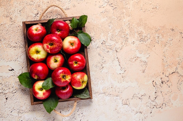 Rijpe rode appels in houten kist