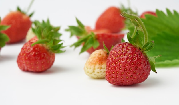 Rijpe rode sappige aardbeien ligt op een groen blad op een witte achtergrond