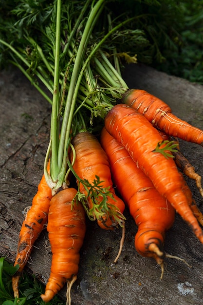 Rijpe sappige wortelen met toppen op een oude houten tafel in de tuin. Vitaminen en gezonde voeding. Detailopname. Verticaal.