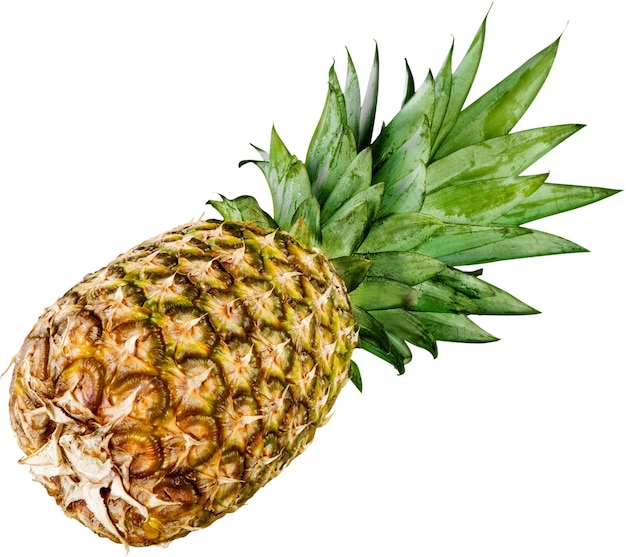 Rijpe smakelijke ananas geïsoleerd op wit