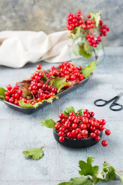 Rijpe viburnumbessen met bladeren in een kom op tafel. wellness, alternatieve geneeskunde en vitaminevoeding. verticale weergave