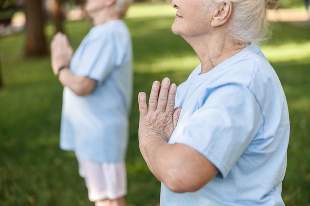 Rijpe vrouw mediteert met namaste mudra die yoga doet met vriend in groen park