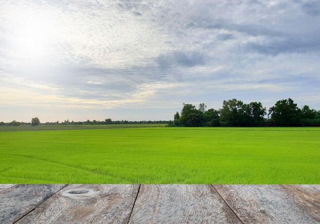 rijst veld en copyspace houten tafel