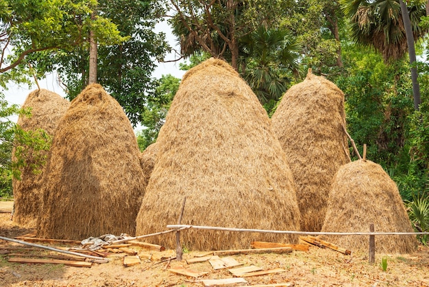 Rijststro maakt deel uit van de restanten na de oogst