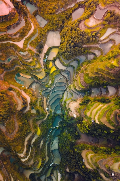 Foto rijstterrassen in guizhou