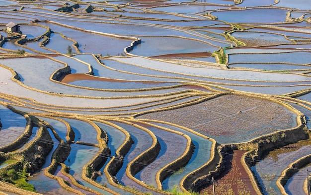 Rijstterrassen in Yuanyang, China