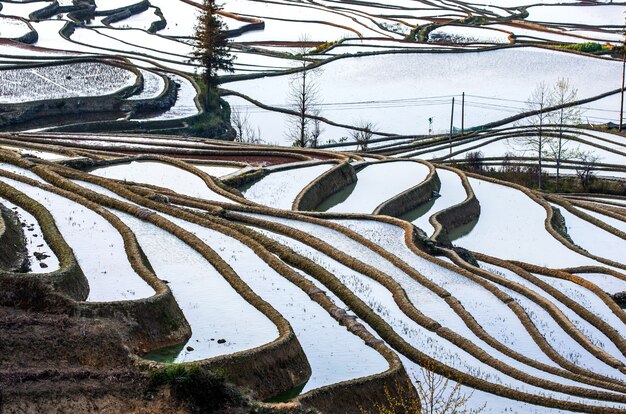 Rijstterrassen in Yuanyang, China