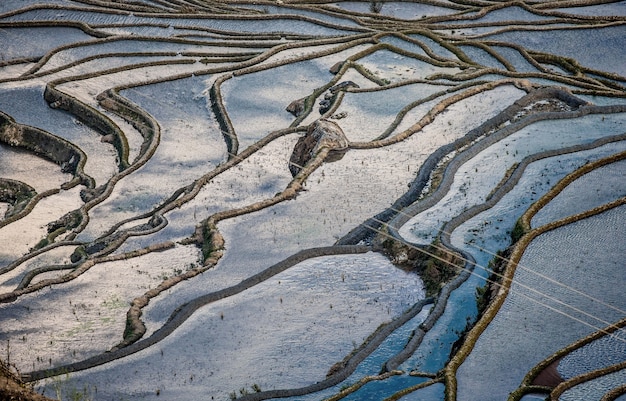 Rijstterrassen in Yuanyang County. Provincie Yunnan. China.