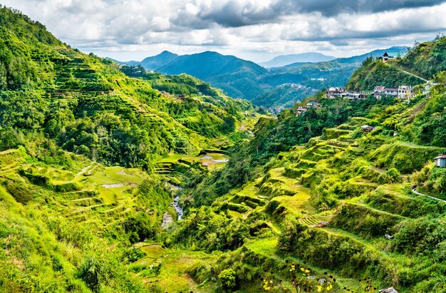 Rijstterrassen van Banaue - in het noorden van Luzon, in de Filippijnen.