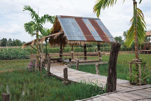 Foto rijstvelden en houten hutten te midden van de natuur en de lucht.