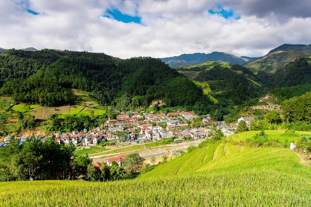 Rijstvelden in Noordwest-Vietnam