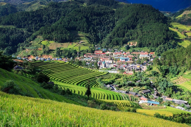 Rijstvelden op het terras in het regenseizoen in Mu Cang Chai Yen Bai Vietnam Rijst velden bereiden zich voor op transplantatie in het noordwesten van Vietnam