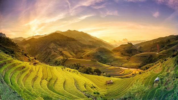 Rijstvelden op terrassen in zonsondergang in Mu Chang Chai, Yen Bai, Vietnam