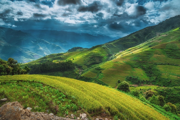 Rijstvelden op terrassen met houten paviljoen in Mu Cang Chai, YenBai, Vietnam.