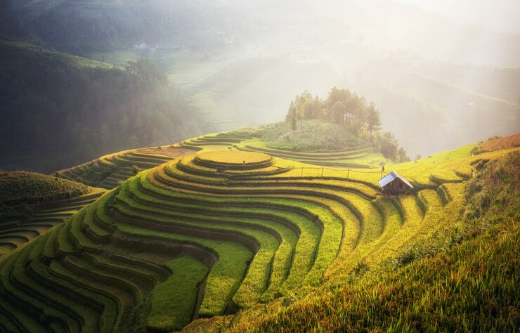 Foto rijstvelden op terrassen van mu cang chai, yenbai, vietnam. landschappen van vietnam.