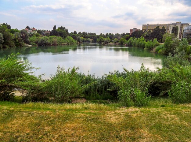 Rimini Pond in the public park