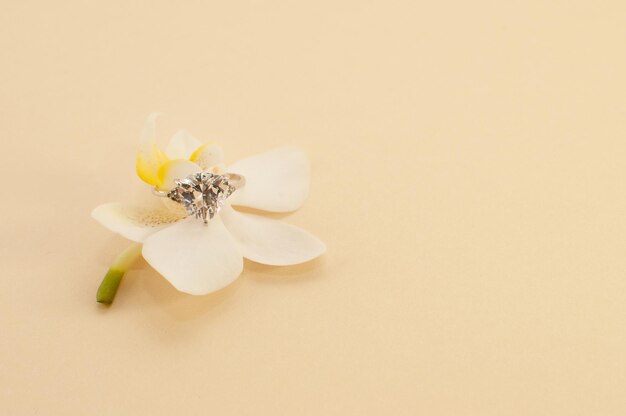 A ring with a large gemstone on an orchid flower on a beige background