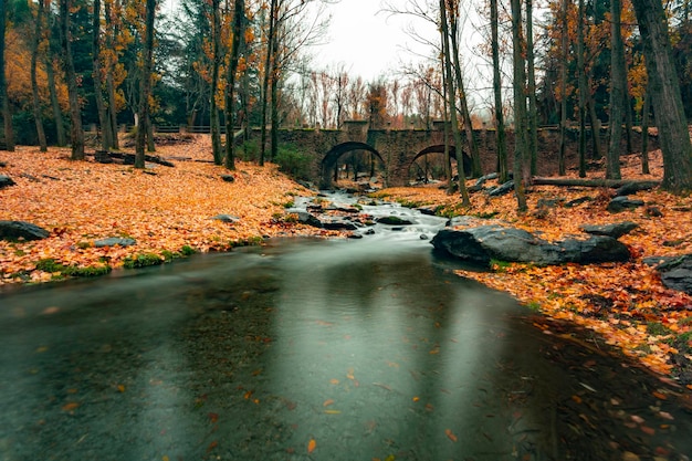 Rio alcazar, con l'acqua di disgelo della sierra nevada.