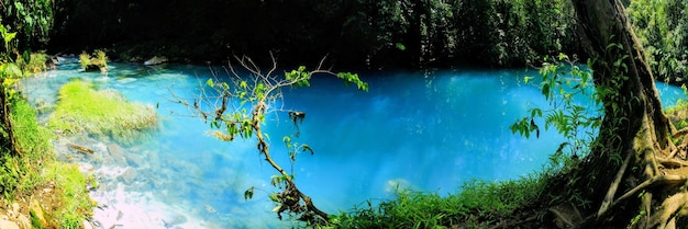 The Rio Celeste in Tenorio National Park