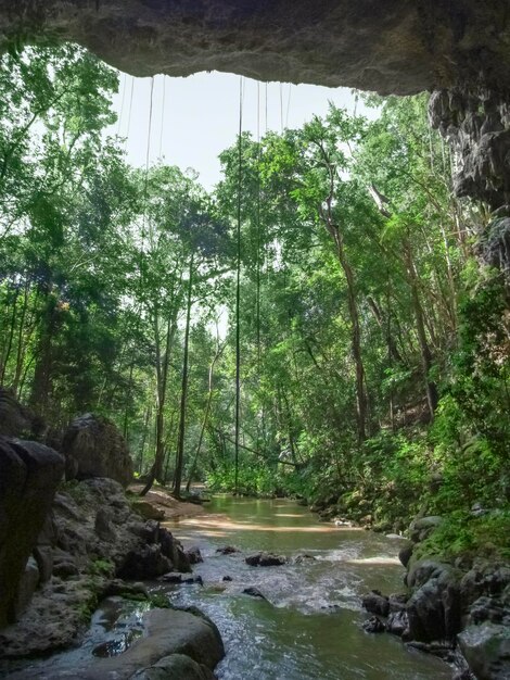 Photo rio frio in belize