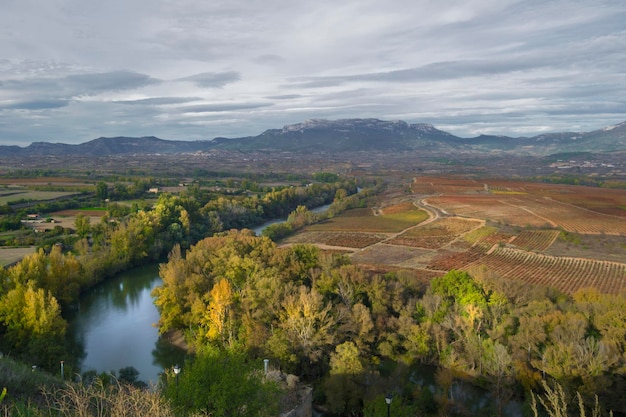 Foto rioja