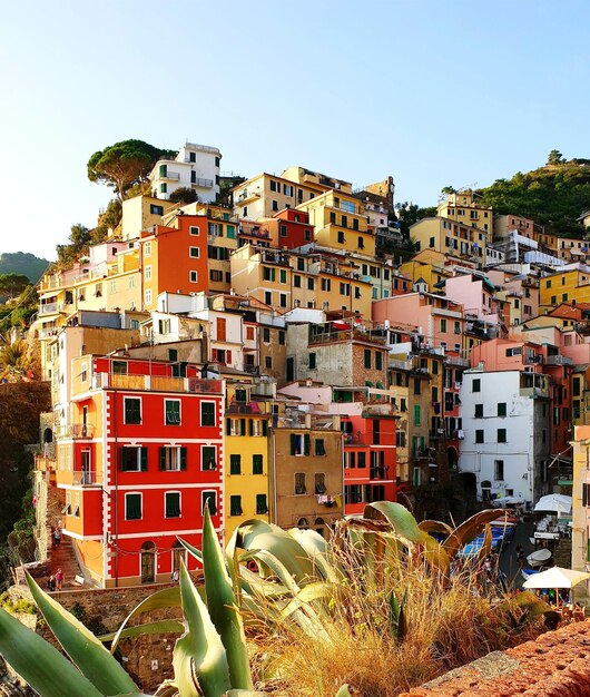 Riomaggiore