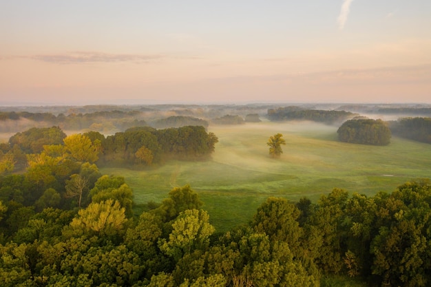 Riparian forest with morning mists from aerial perspective