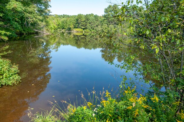 riparian scenery around Yarmouth