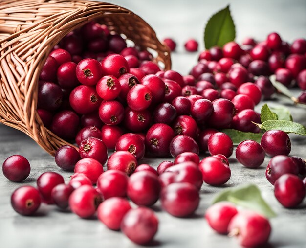 Ripe appetizing cranberry berries in an overflowing basket