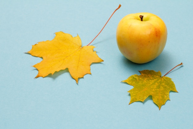 Ripe apple and dry yellow maple leaves on a blue background. Top view.