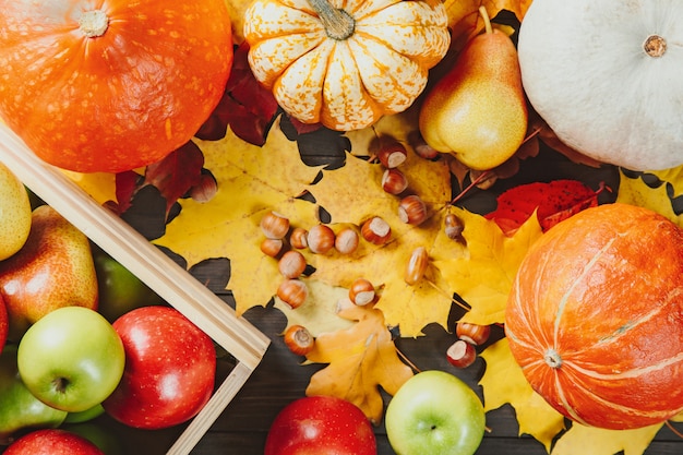 Ripe apples in a box with pumpkins, pears, hazelnuts and colorful maple leaves on dark wooden 