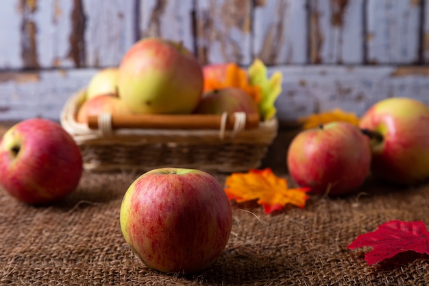 Ripe apples on burlap and in a basket. Rustic style