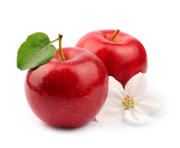 Ripe apples fruit with flowers close up on white