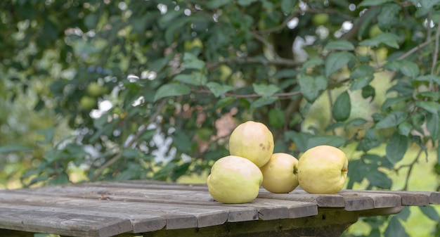 Ripe apples on the table in the garden, close-up