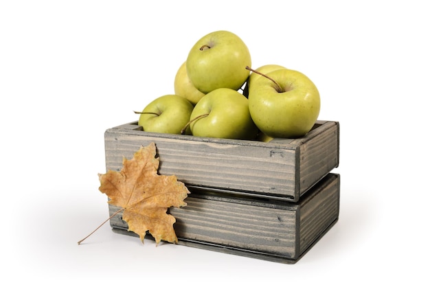 Ripe apples on a white background with soft shadow