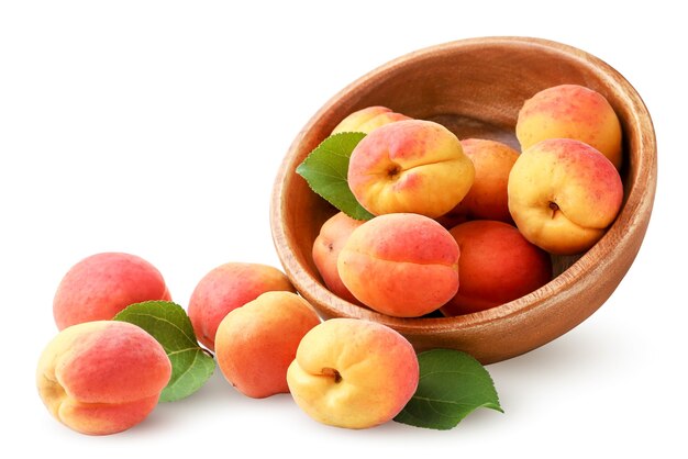 Ripe apricots spilled out from a wooden plate on a white background