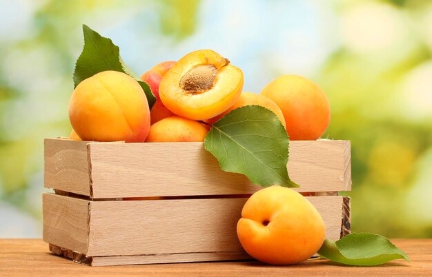 Ripe apricots with leaves in wooden box on wooden table on green background