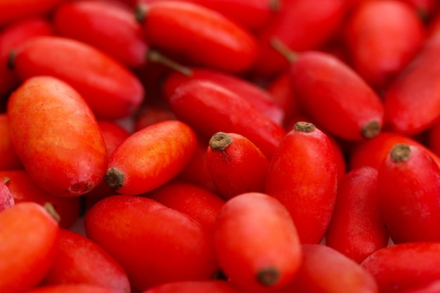 Ripe barberries close up