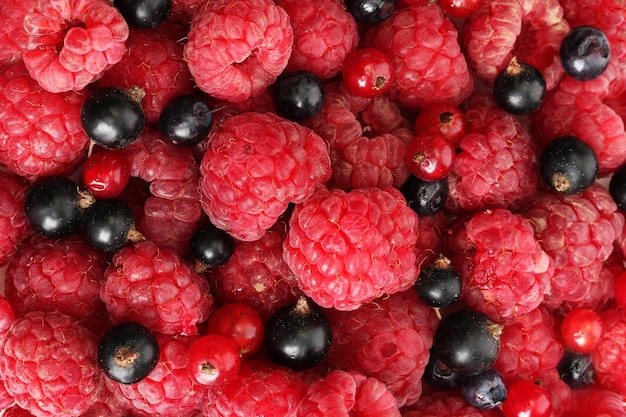 Ripe berries close up