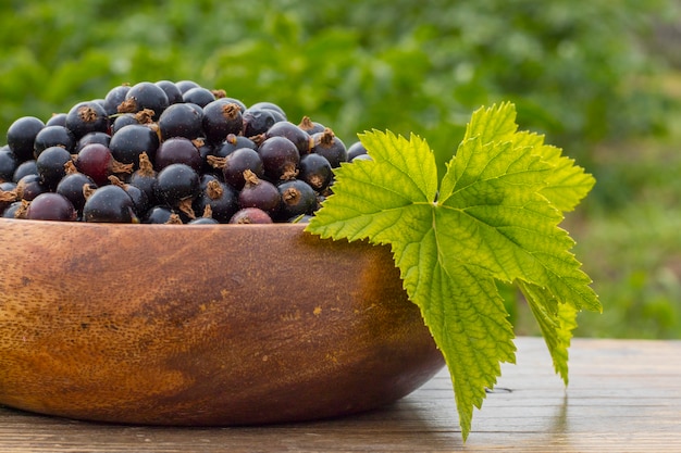 Ripe black currant in a wooden plate with a sheet, on a table in the garden