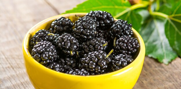 Ripe black mulberry in ceramic bowl