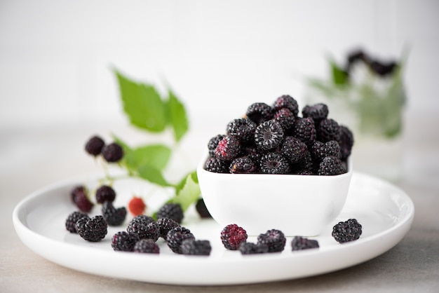 Ripe blackberries in a white bowl