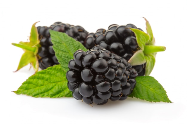Ripe blackberries with green leaves isolated on white