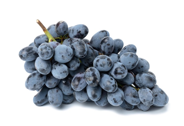 Ripe blue grapes on a white isolated background wine grapes