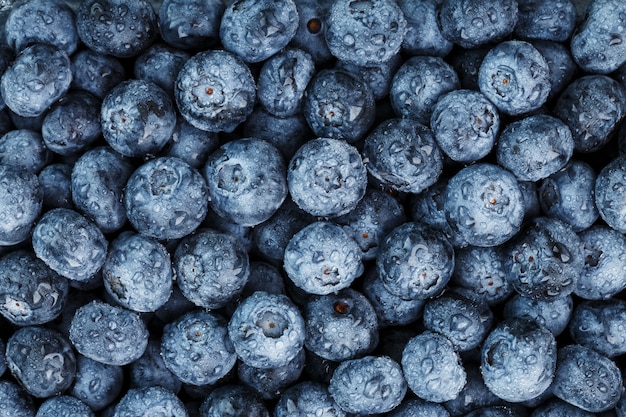 Ripe blueberries texture with drops of dew