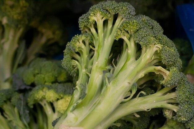 Ripe broccoli is sold in the supermarket