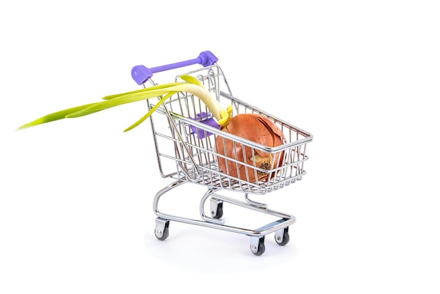 Ripe bulb in a supermarket trolley on a white background