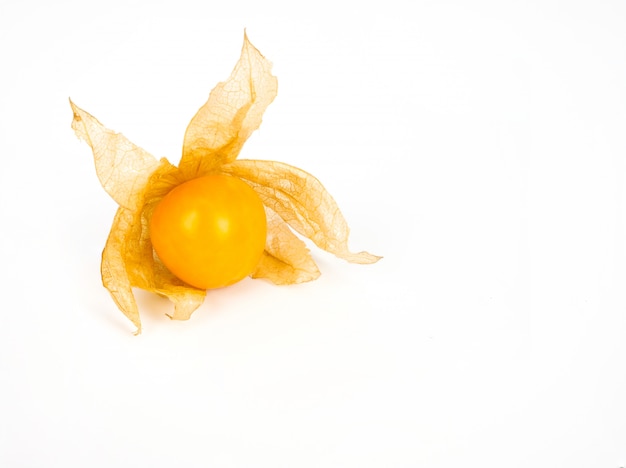 Ripe cape gooseberry