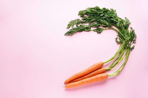 Ripe carrots with leaves isolated