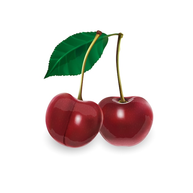 Photo ripe cherries on a white background. realistic style illustration.